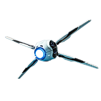 Caelifer